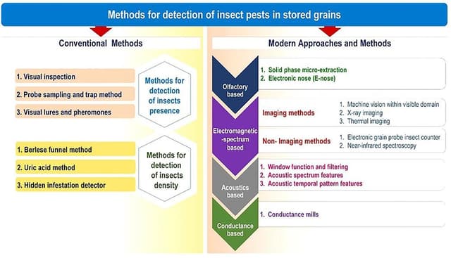 Comparison chart of conventional and modern methods for detecting insect pests in stored grains, highlighting technologies like electronic noses, X-ray imaging, and acoustic analysis that help prevent mycotoxin contamination in food.