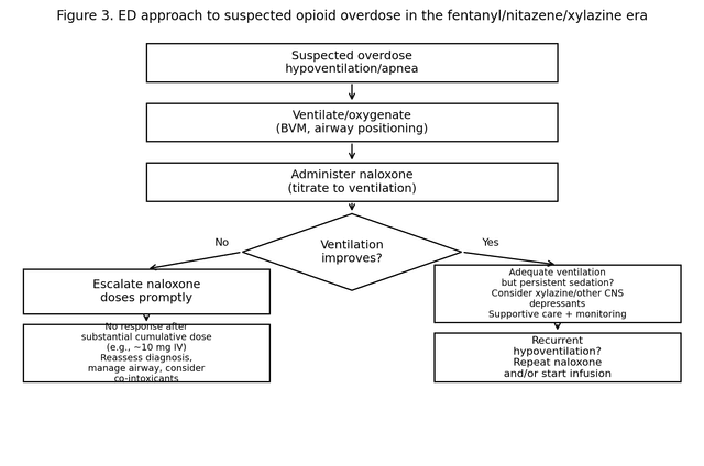 Flowchart showing airway/ventilation first, naloxone titration to ventilation, and branch points for persistent sedation (consider xylazine/other CNS depressants), infusion triggers, and reassessment after high cumulative doses.