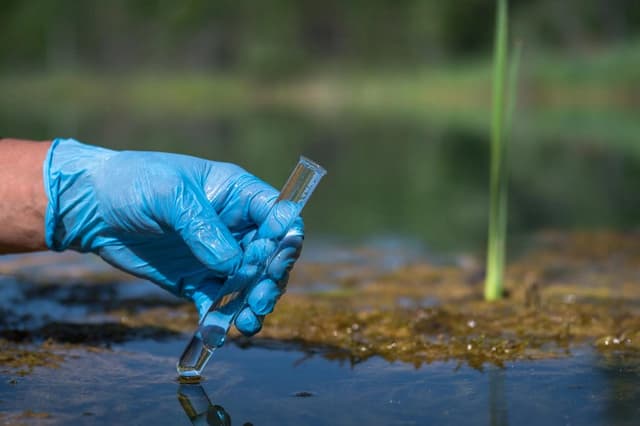 Scientist collecting contaminated water sample with gloved hand for PFAS or microplastic testing in wetland environment