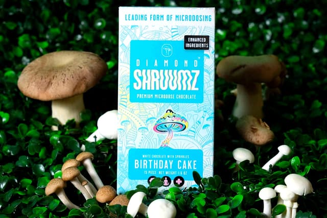 Psilocybin mushroom product in forest setting, showing toxicology concerns over contaminated gummies and dangerous synthetic compounds in edibles.
