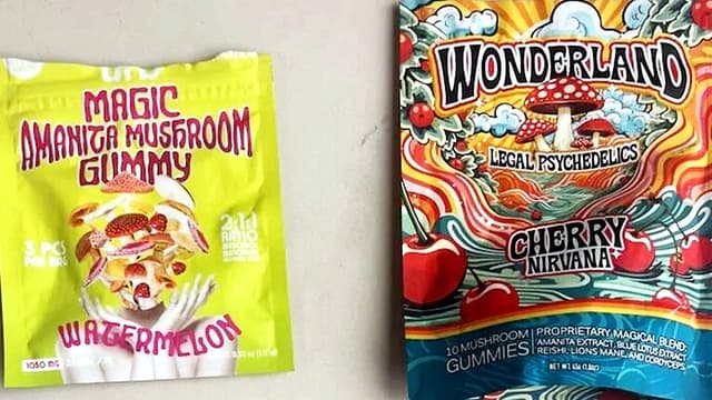 Packaged mushroom gummies linked to psilocybin contamination concerns and dangerous synthetic compounds found in psychedelic edible products.